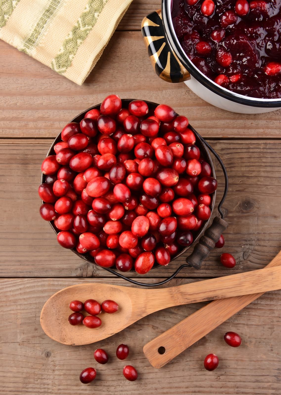 Cranberrys in einer Schale